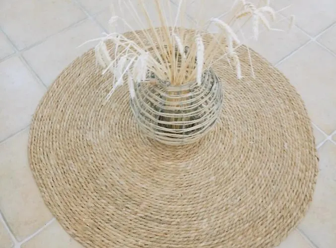 Evdion Galini (Naxos)